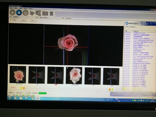 꽃 분류 자동 Focusight 검사 기계